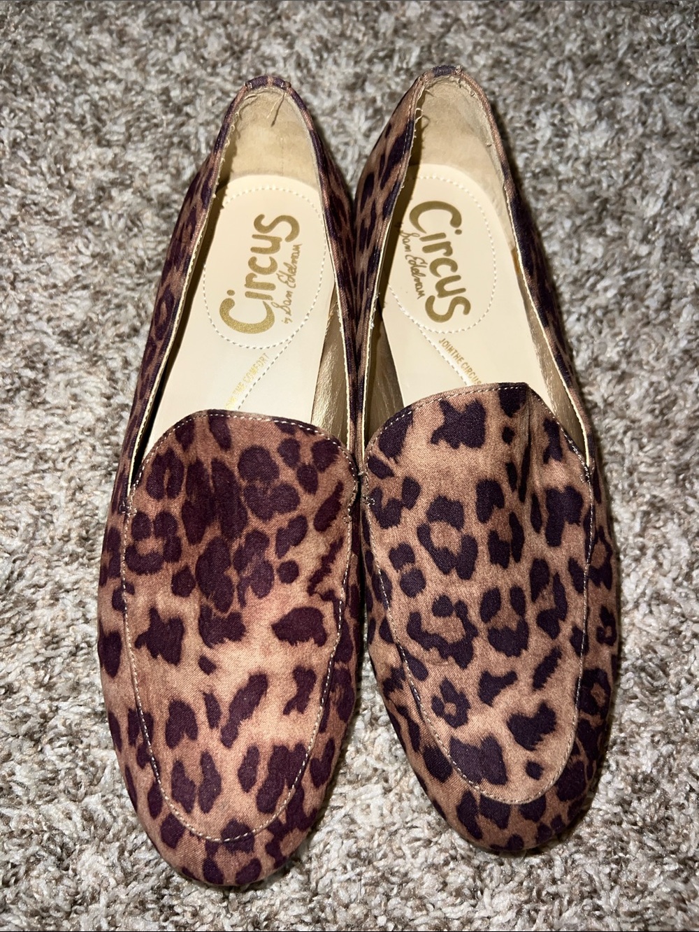 Sam Edelman Circus Leopard Print Slip-On Loafers - Sz 6!